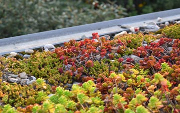 the cost of Otterham Quay green roof installation