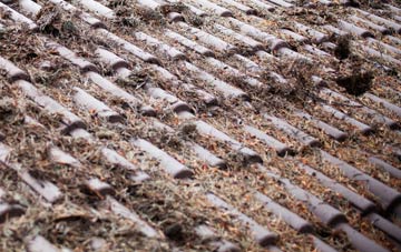 Otterham Quay roof cleaning companies